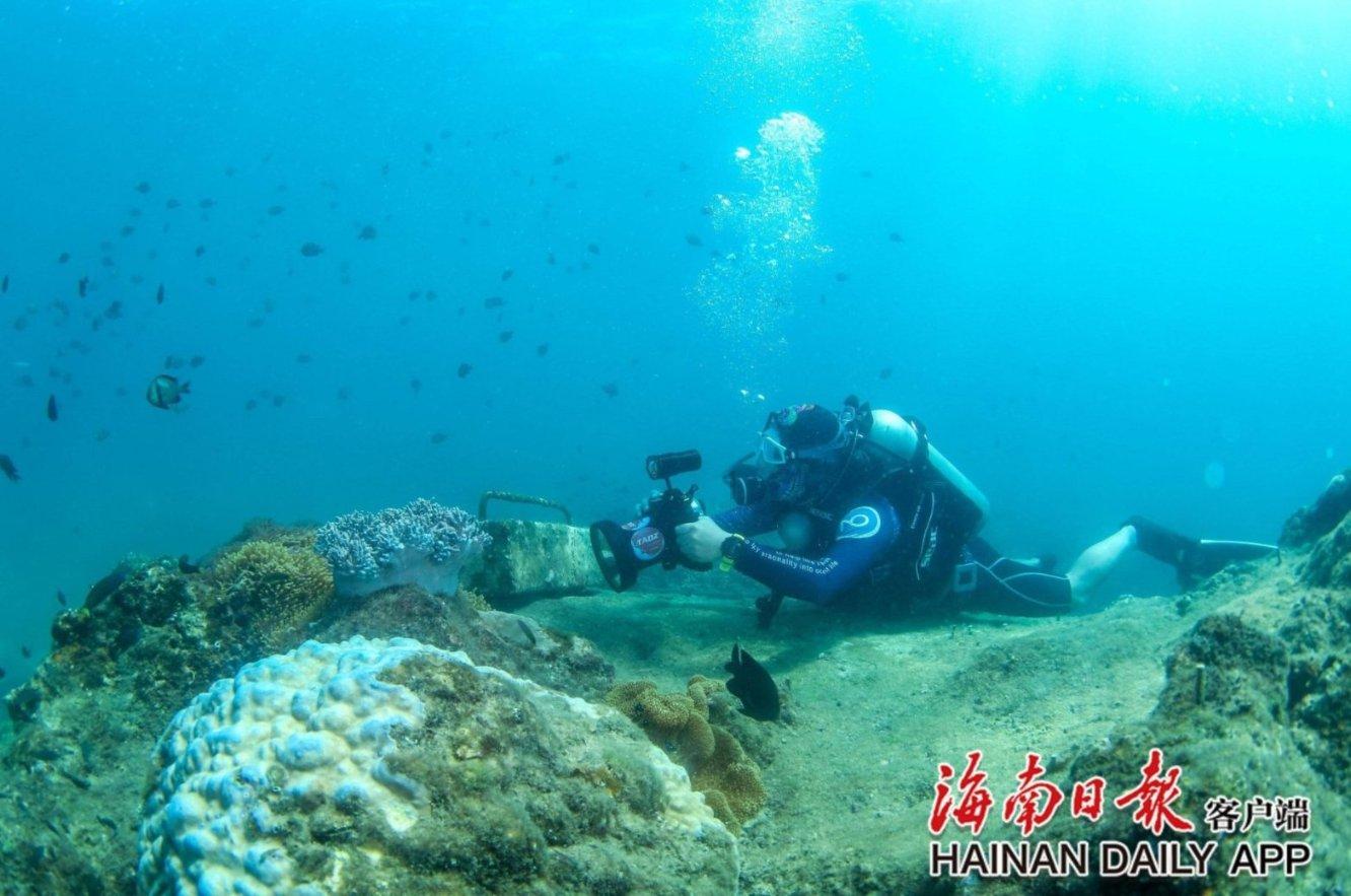 潍坊市潍城区：送福迎新春 巧手写福字